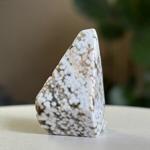Small Ocean Jasper Crystal Freeform